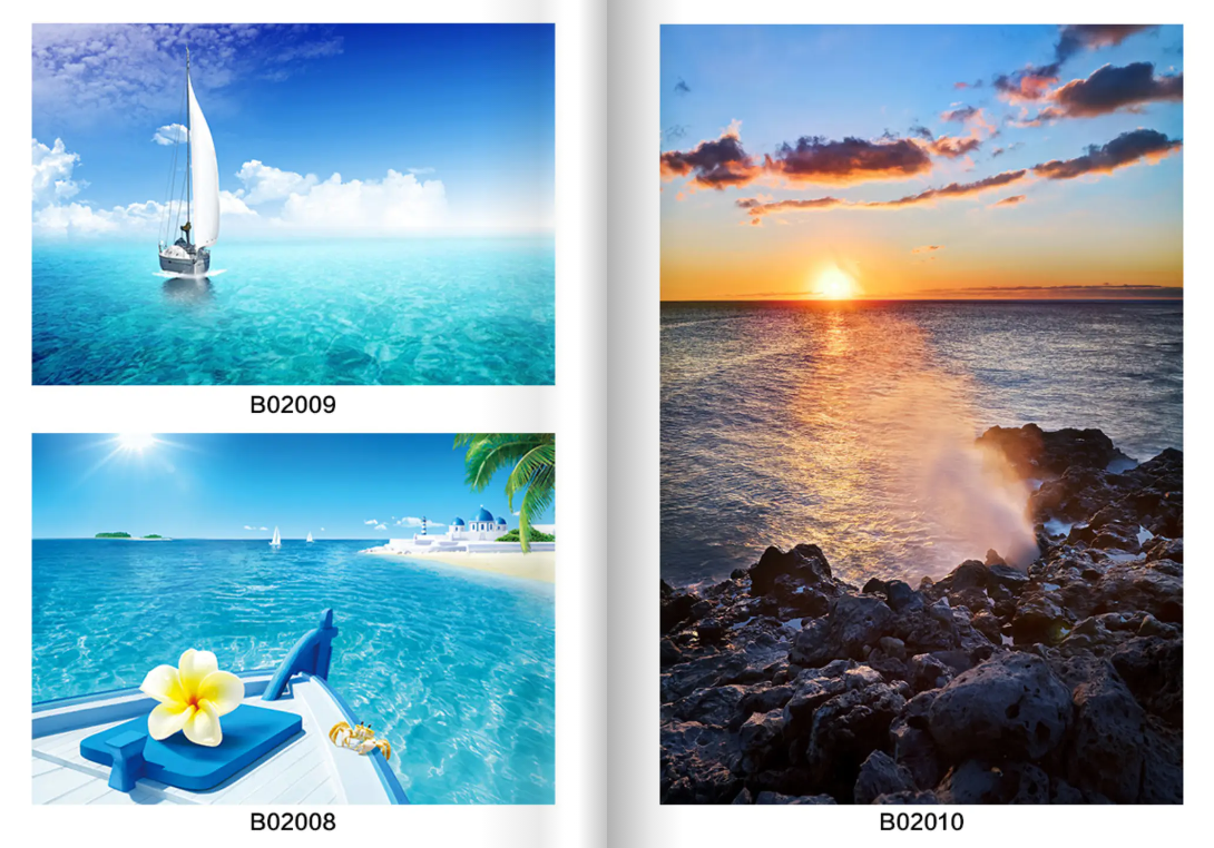 Custom Printed Roller Blinds