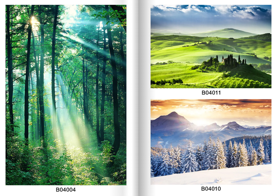 Custom Printed Roller Blinds